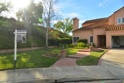 DSC_7328 (Large).JPG